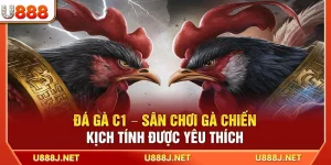 Đá Gà C1 – Sân Chơi Gà Chiến Kịch Tính Được Yêu Thích