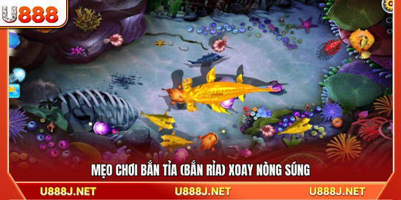 Kinh nghiệm bắn rỉa kết hợp xoay nòng súng hiệu quả