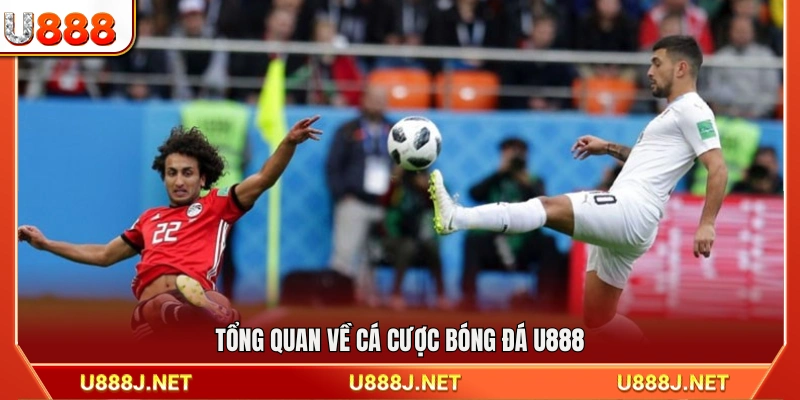 Khái quát hình thức cá cược bóng đá U888