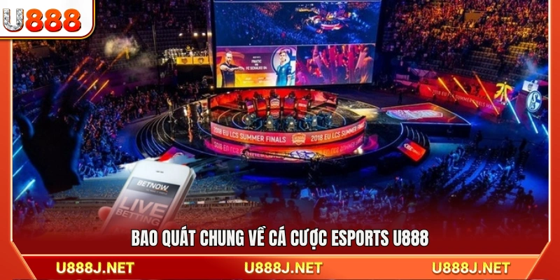 Tổng quan hình thức cá cược Esports U888