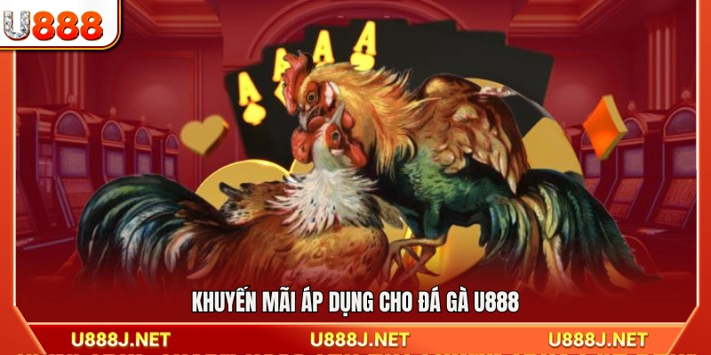 Ưu đãi và chương trình thưởng dành cho sảnh đá gà U888