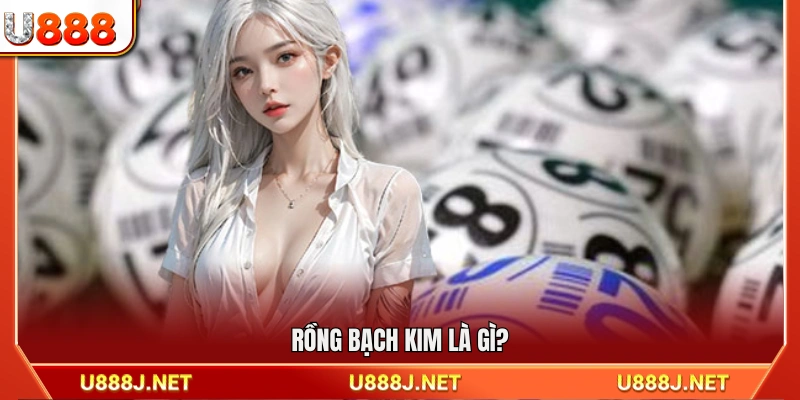 Giải thích thuật ngữ Rồng Bạch Kim